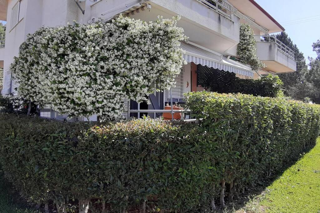 Willa Kleo House Kalives Polygyros Halkidiki Kalyves Polygyrou Zewnętrze zdjęcie